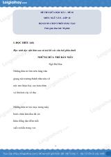 Đề thi giữa kì 2 Văn 10 Chân trời sáng tạo - Đề số 10
